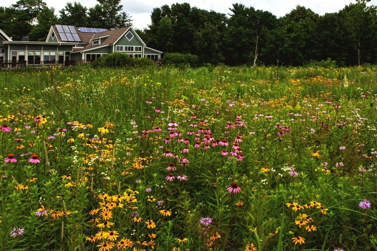 Monona, WI Homes for Sale and Realtors