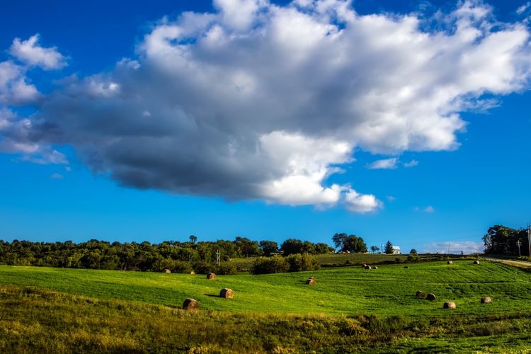 Poynette, WI Homes for Sale and Realtors